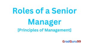 Read more about the article Roles of a Senior Manager