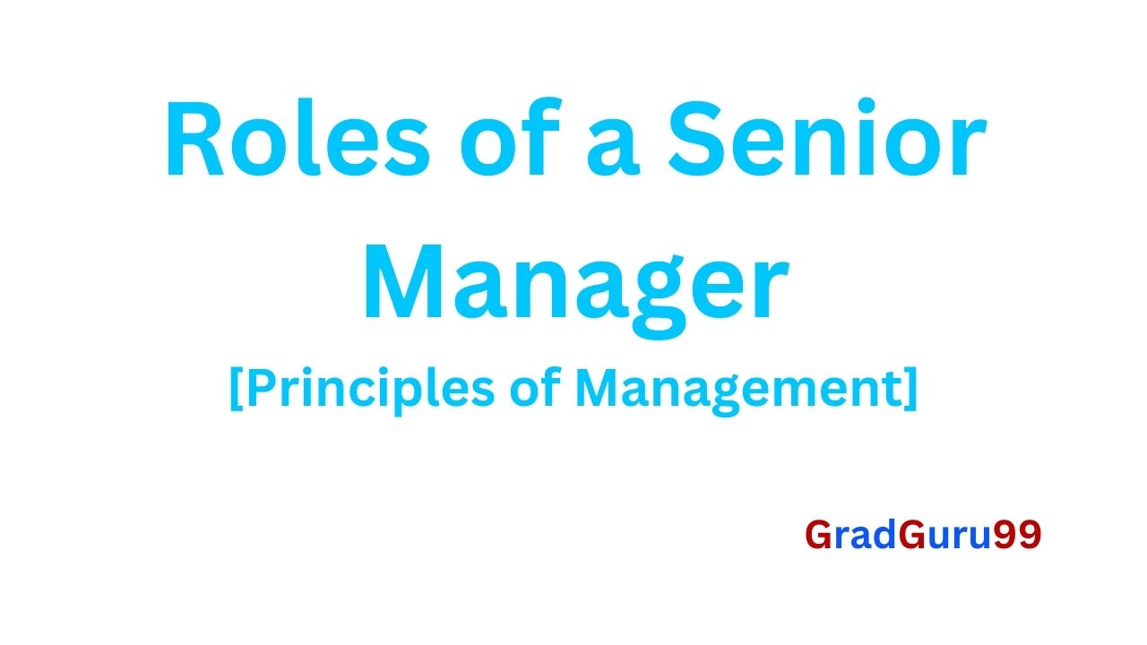 You are currently viewing Roles of a Senior Manager